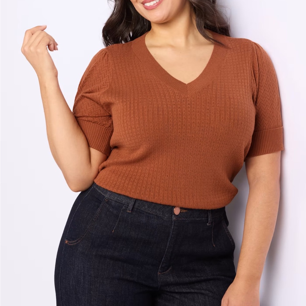 Women's V-Neck Sweater in Rust